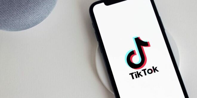 Download Video Tiktok Tanpa Watermark Tanpa Aplikasi