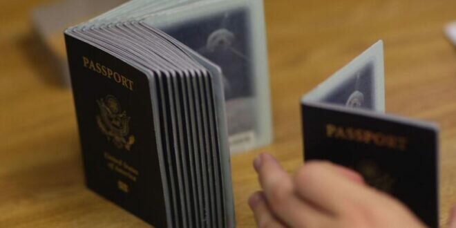 Joint Citizenship And Passport Application Service London